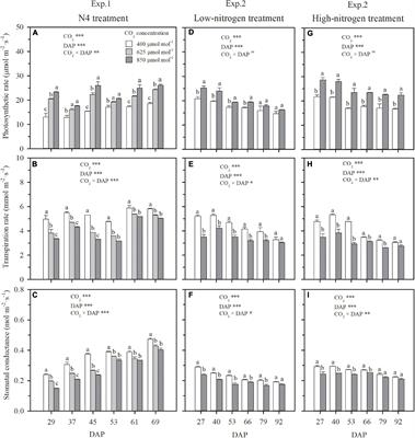 The Mechanisms Responsible for N Deficiency in Well-Watered Wheat Under Elevated CO2